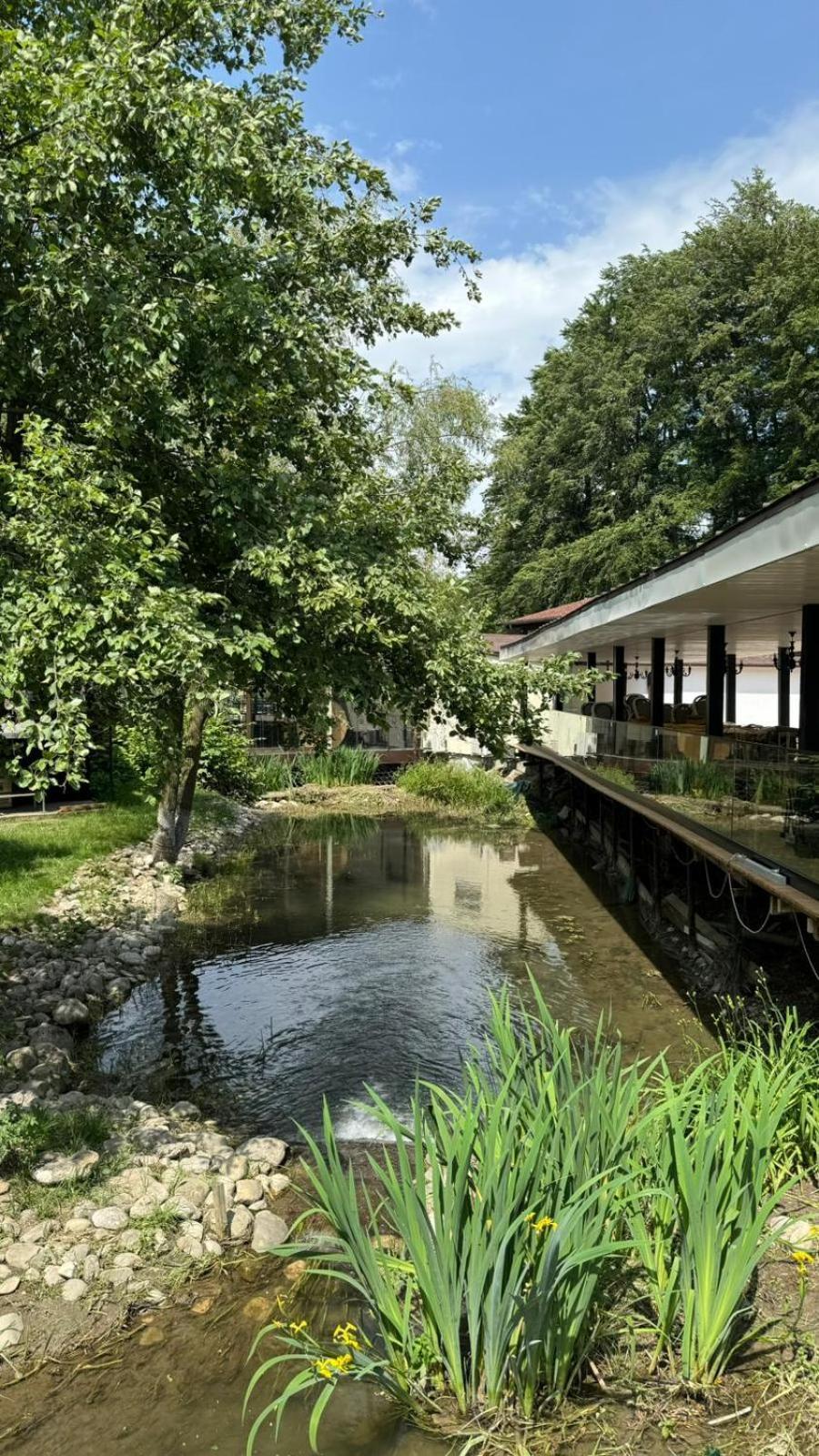 Marabou Resort Braşov Buitenkant foto