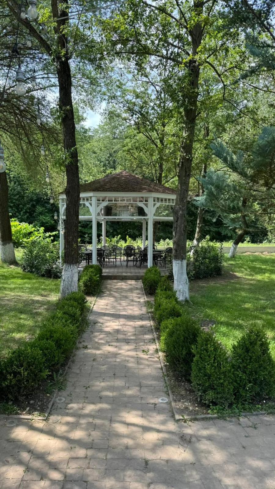 Marabou Resort Braşov Buitenkant foto